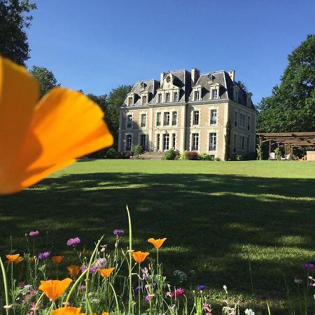 Chateau Des Essards Avec Piscine Et Jacuzzi Langeais Zewnętrze zdjęcie