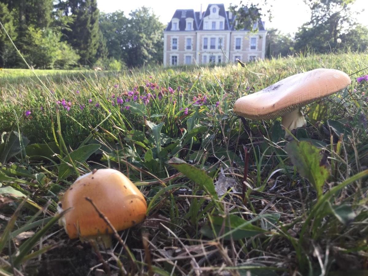 Chateau Des Essards Avec Piscine Et Jacuzzi Langeais Zewnętrze zdjęcie